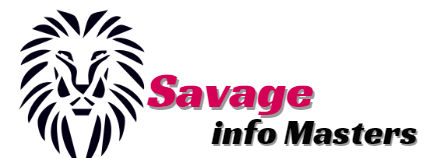 savageinfomasters.com